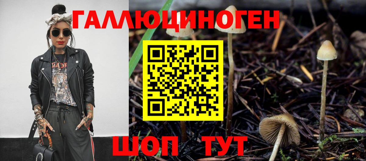 Галлюциногенные грибы Cubensis Химки
